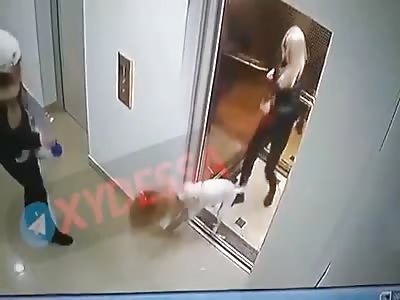 Lady, don't leave your dead dog behind