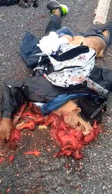 Get Off on Gore Avenue!