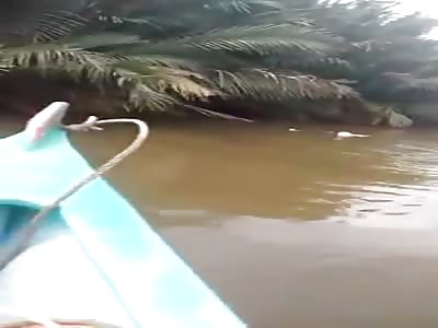 Half Eaten Body Found by Fisherman