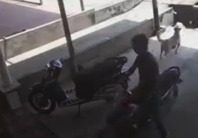 Biker Speeds Directly into Lorry