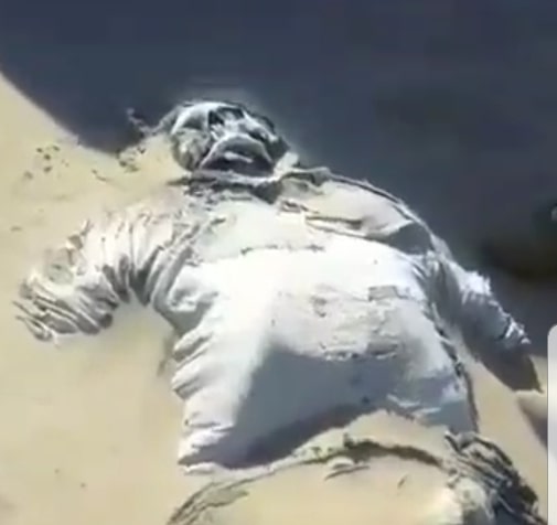 Skeletal Remains Found in the Desert