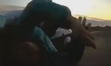 Woman Walking Her Dog Hit by Car