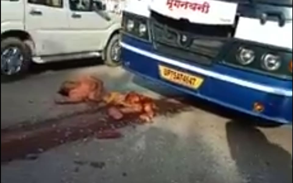 Elderly Man Turned into Pasta