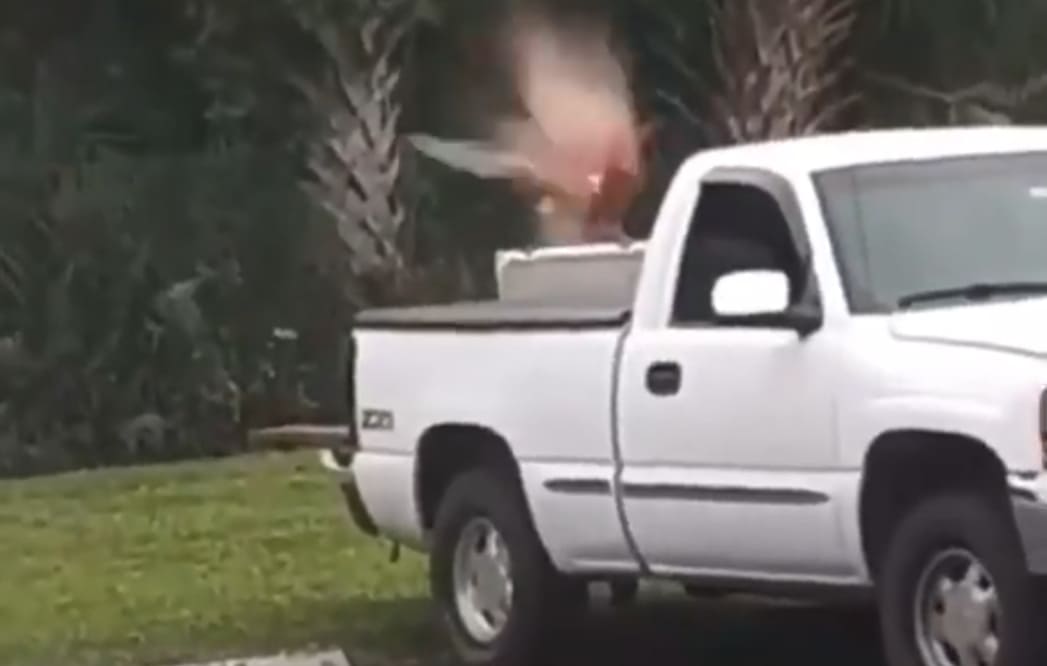Guy Takes One Last Drink Before Blowing His Brains Out