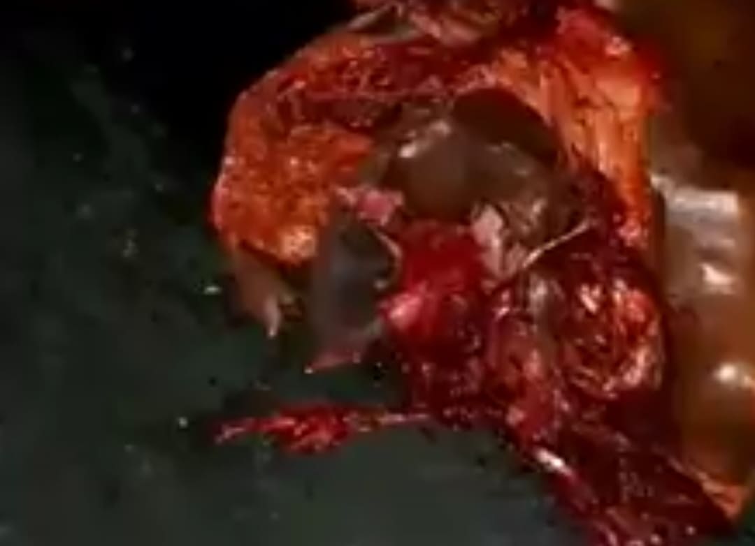 Road Pizza in Trinidad