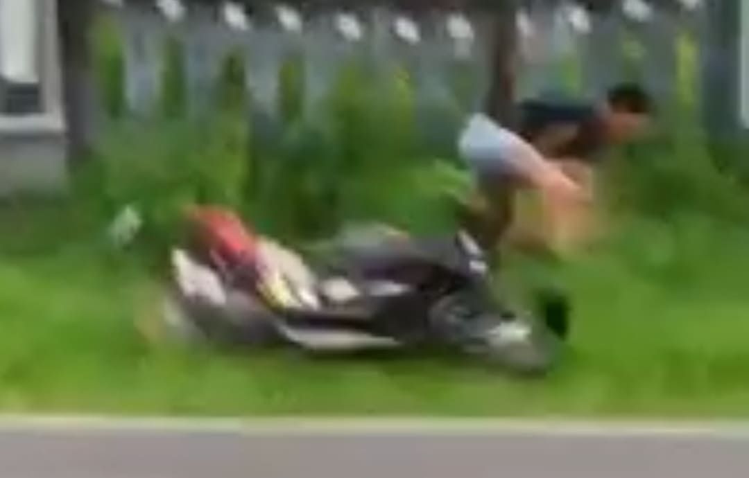 Bikers Nuts Meet a Tree