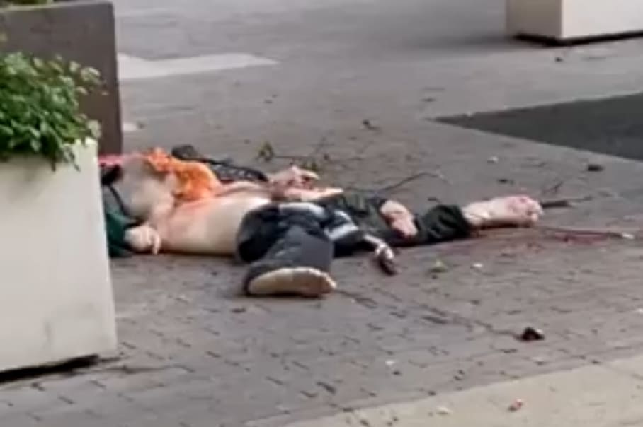 Short Aftermath of NYC Suicide