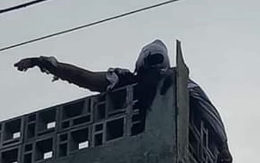 Chick Roasting on Power Lines