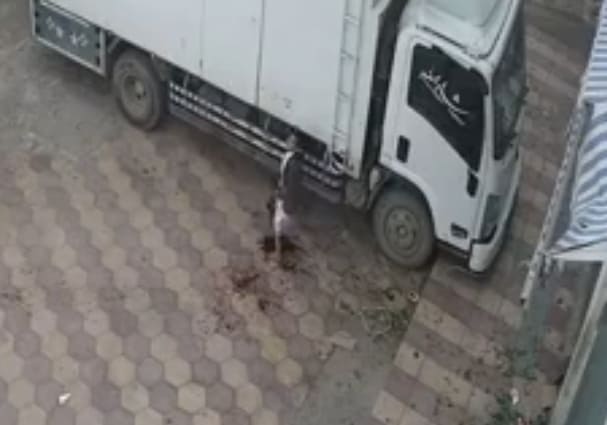 Kid Loses Foot in Accident with Tractor Trailer