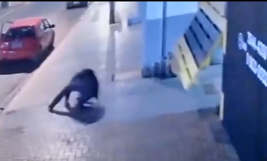 Hitman Leaves the Scene John Wick Style