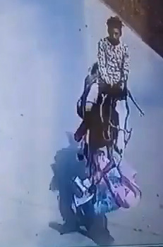 Chick Trampled by Horse. 