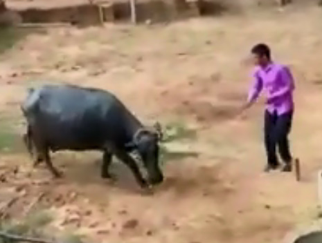 Family Fued: India Edition