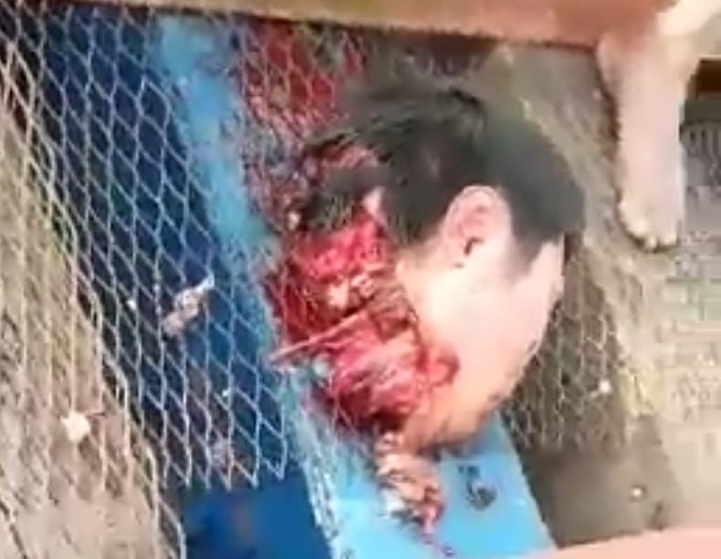 Man Loses Head in Train Suicide