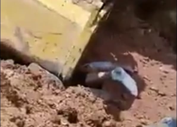 Worker Flattened By Steamroller