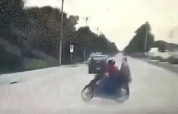 Ragdolled in Thailand