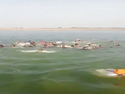 Just Keep Swimming...