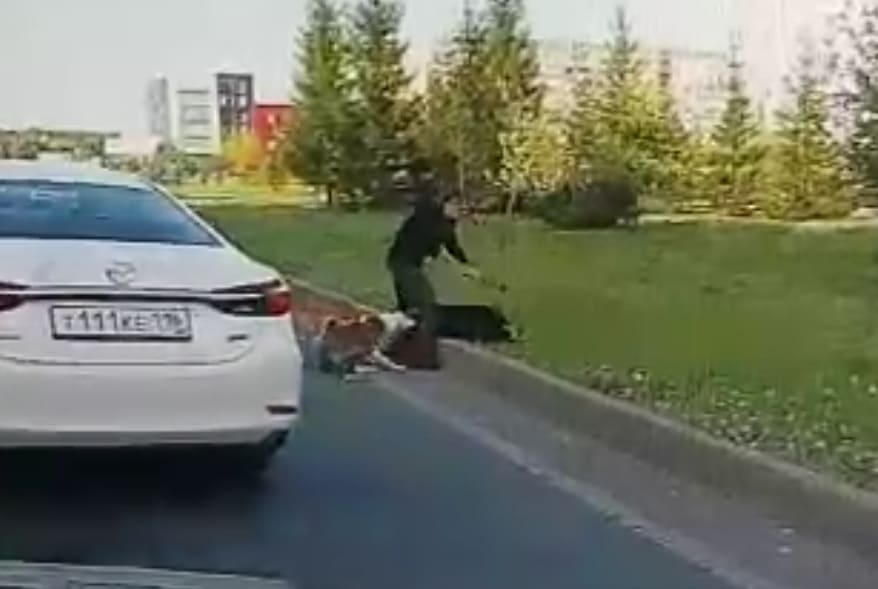 Road Rage is an Understatement