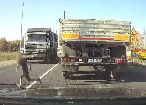 DAMN! Play Stupid Games, Win Stupid Prizes