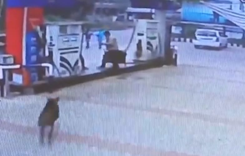 Lol... Wild Boar Attacks Guy Filling Up Gas Tank