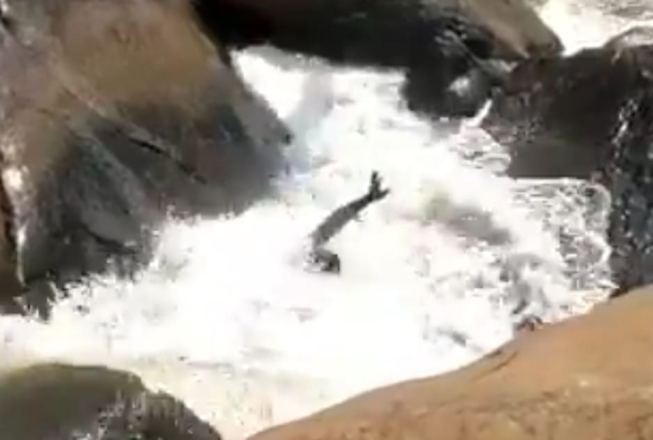 Youth Drowns After Attempting to Take a Selfie