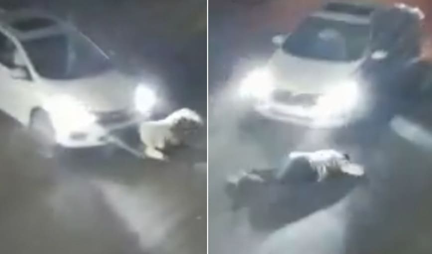 Vehicular Homicide in India