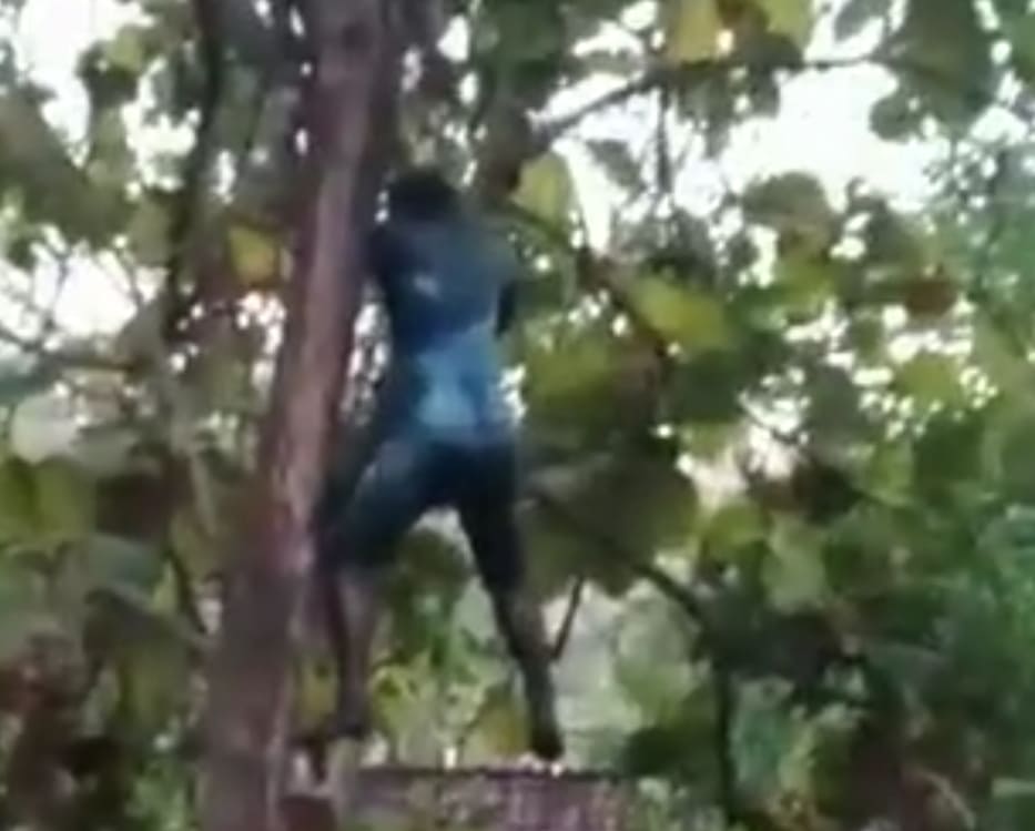 Been Hanging There For A Bit...