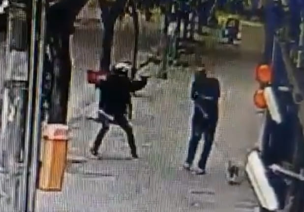 Can't Even Walk Your Dog in Brazil