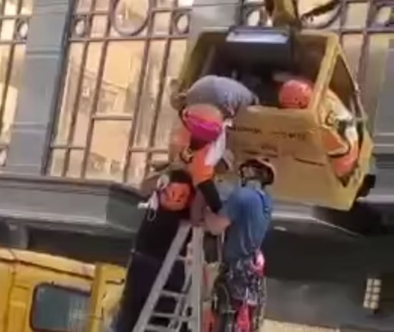 Worker Killed During Tree Removal