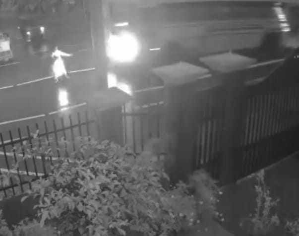 Like A Deer In Headlights 