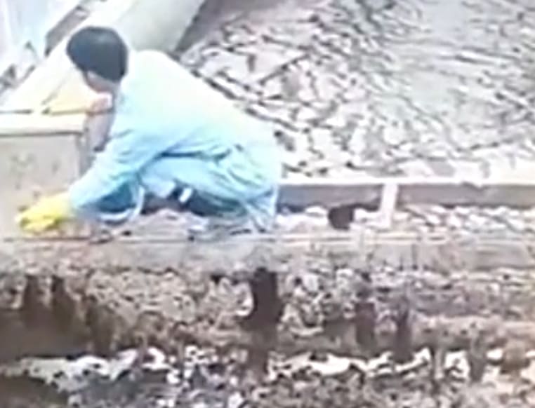 Tiller Turns Worker Into Ground Meat