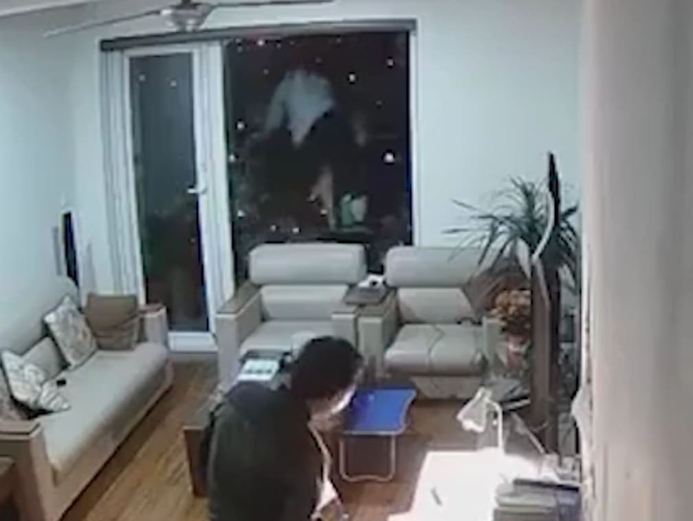 Depressed Student Says Fuck It