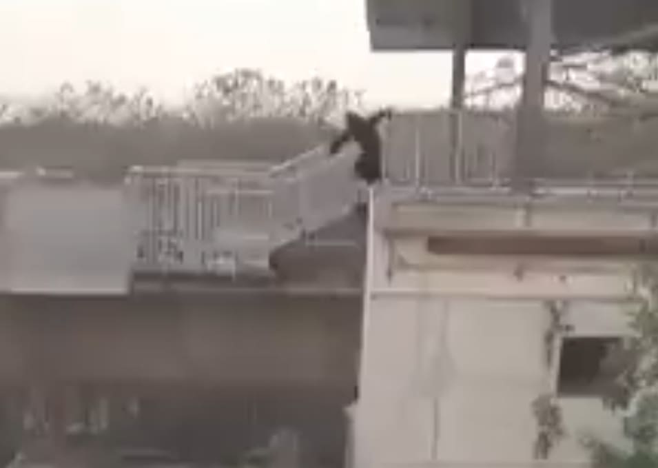 Woman Jumps From Train Station Platform