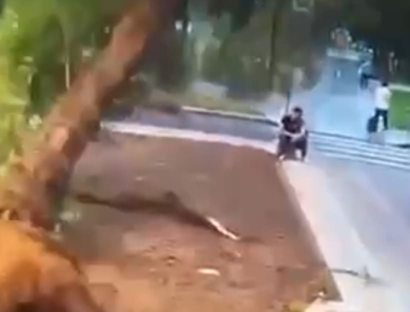 Moscow Man Eliminated By Tree