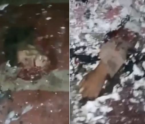 Aftermath Of Kabul Mosque Bombing 