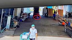 Female Factory Worker Crushed By Fork Lift