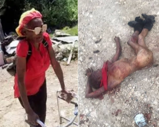 Elderly Lady Mauled To Death By Pack Of Dogs