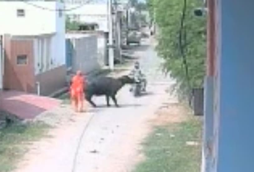 Friendly Reminder To Wear A Helmet