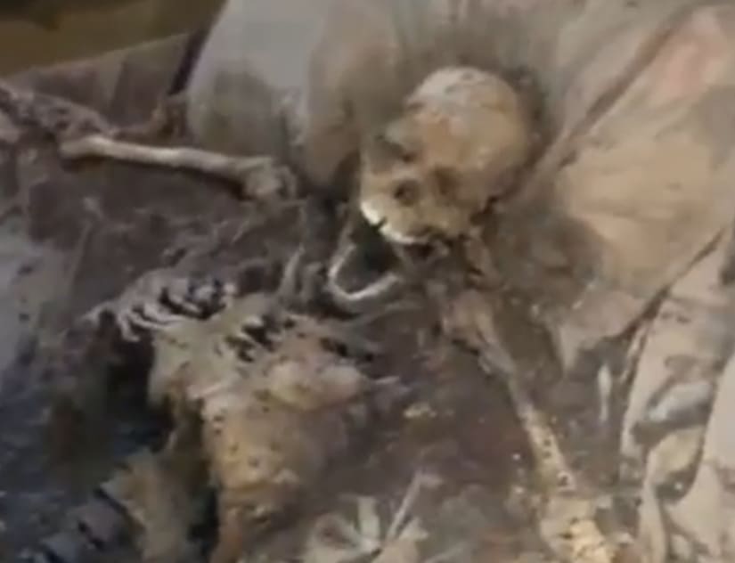 Smile For The Camera!