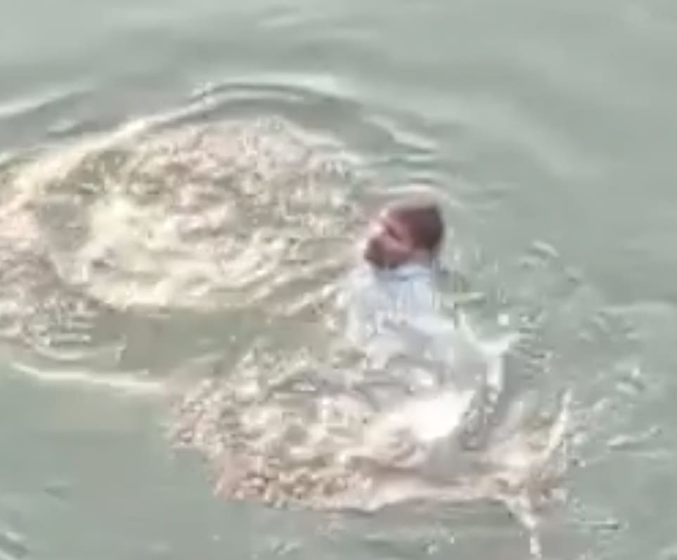 Bridge Jumper Has Second Thoughts