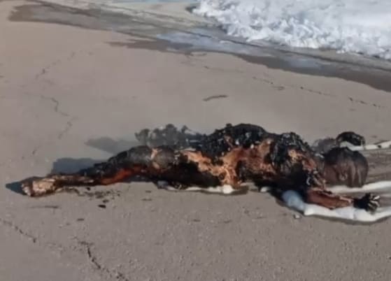 Worker Burns To Death After Fuel Tanker Explosion