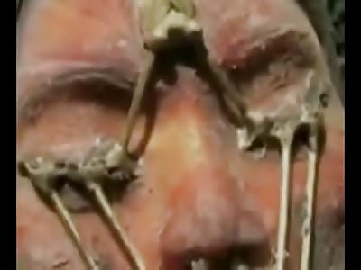 APOLLO 20 UNEDITED TRUE STORY