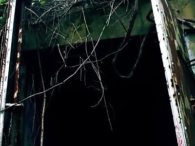 The Untold Truth Of Mothman