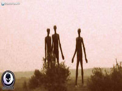 EXPLOSIVE CIA Document Reveals Truth About Mars