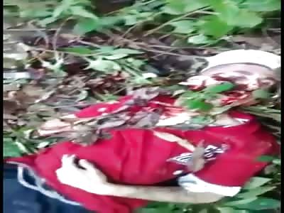 Found Dead in the woods