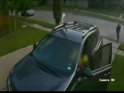 Thugs Doing what they were born to do (stealing)