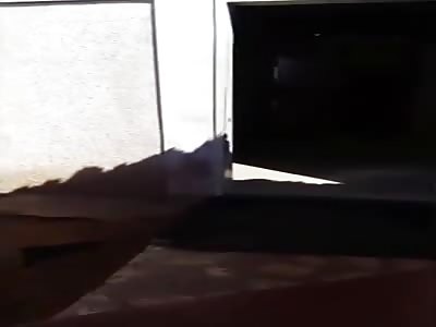 Mexican family dispute leads to shots fired and man shitting himself