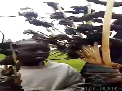 Ratatouille, al fresco.