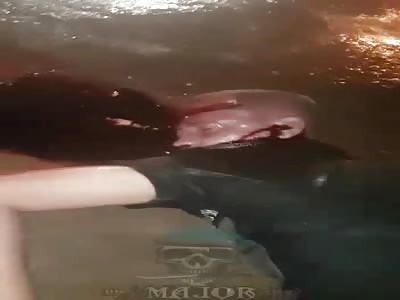 man brutally murdered in the rain