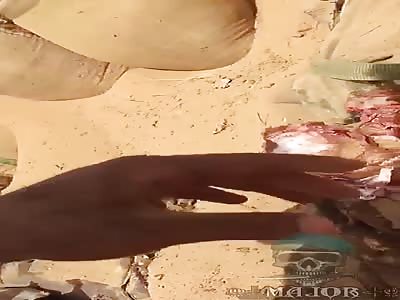 Normal headshot in war