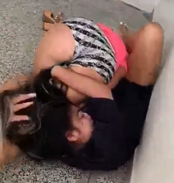 The Tits are Alive and Angry in Brazil